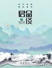 《君品谈第二季》深度剖析:大佬们的智慧碰撞,职场进阶的必修课!
